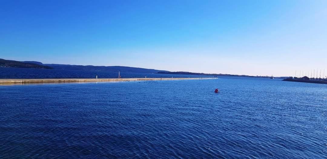 Studio W Centrum Miasta Holmestrand, Norwegia Kültér fotó